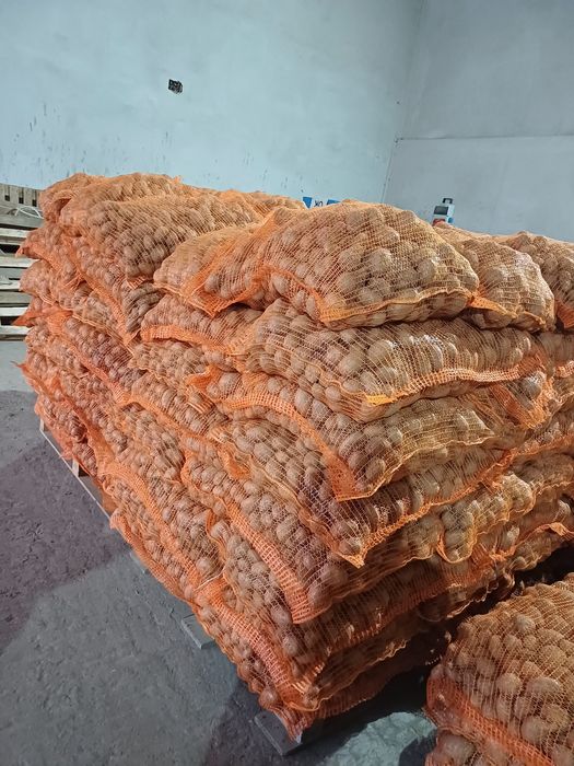 Cartofi de consum si de animale