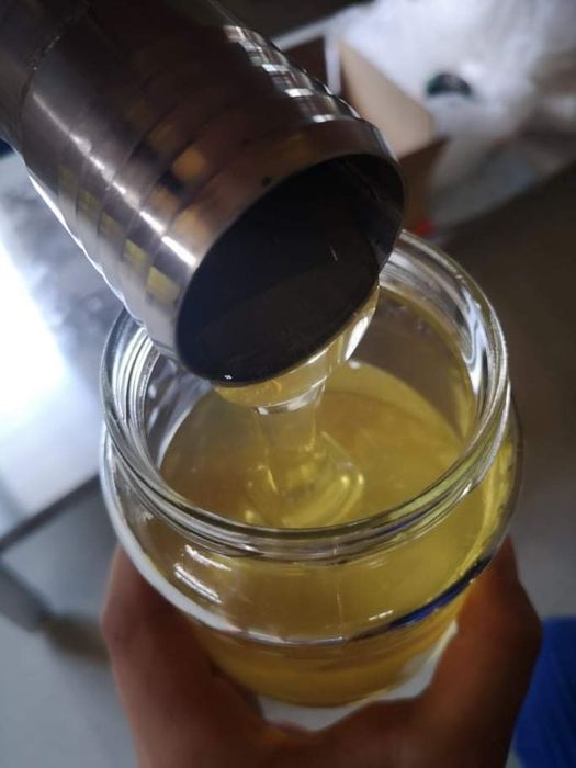 Miere de albine salcâm