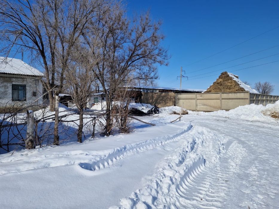 Продается фазенда