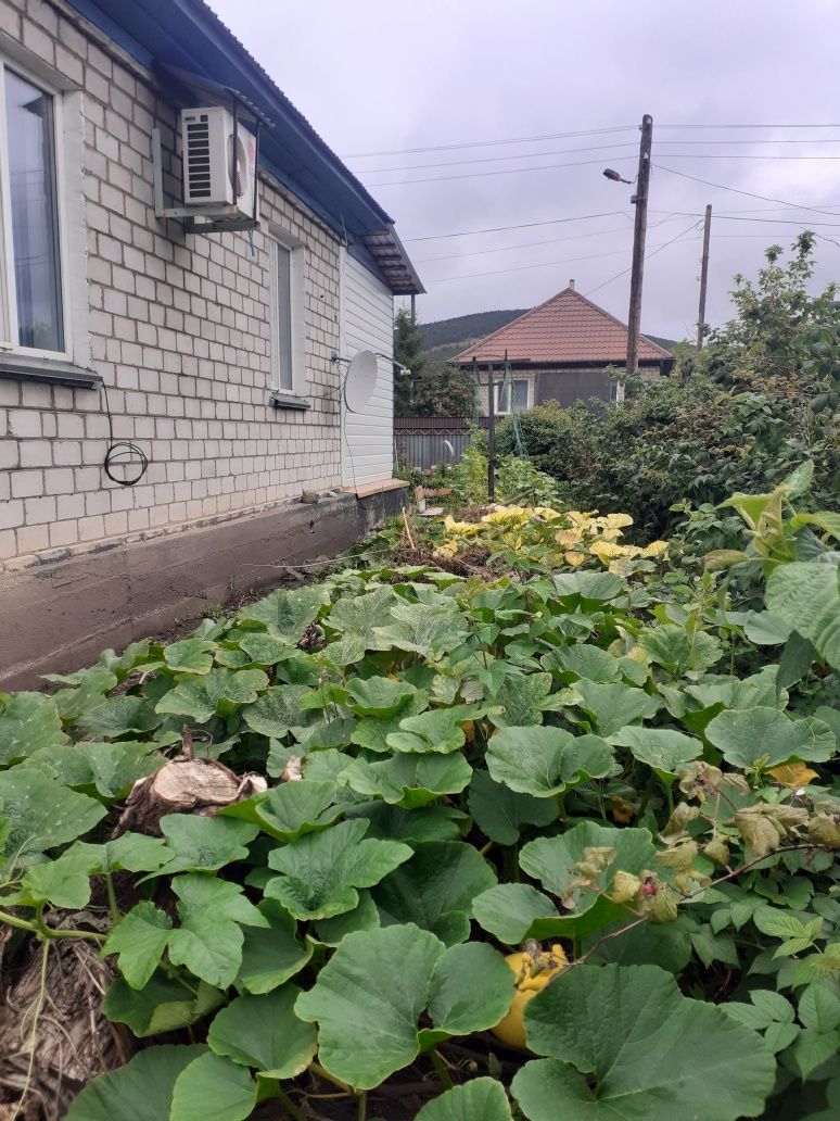 Продам дом в экологически чистом районе