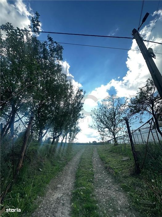 Reco Teren intravilan Lugasu de Sus, Bihor