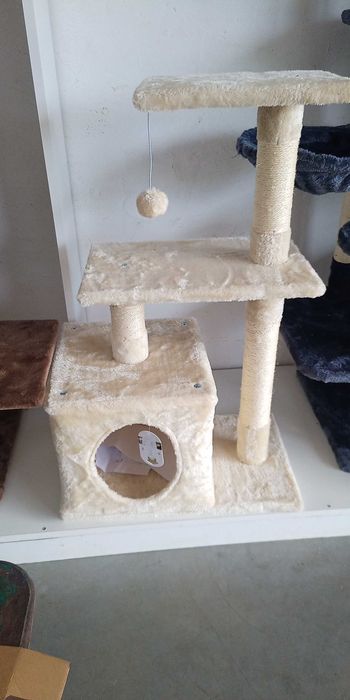 Катерушки за котенца