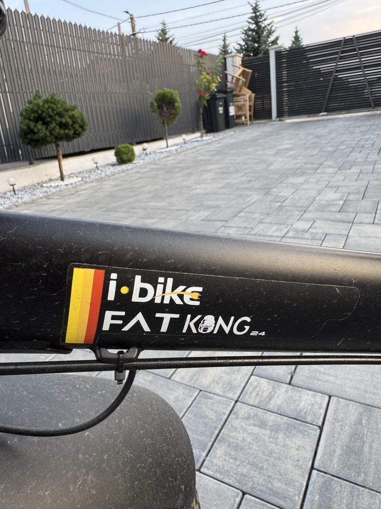 Bicicleta electrica FAT KONG