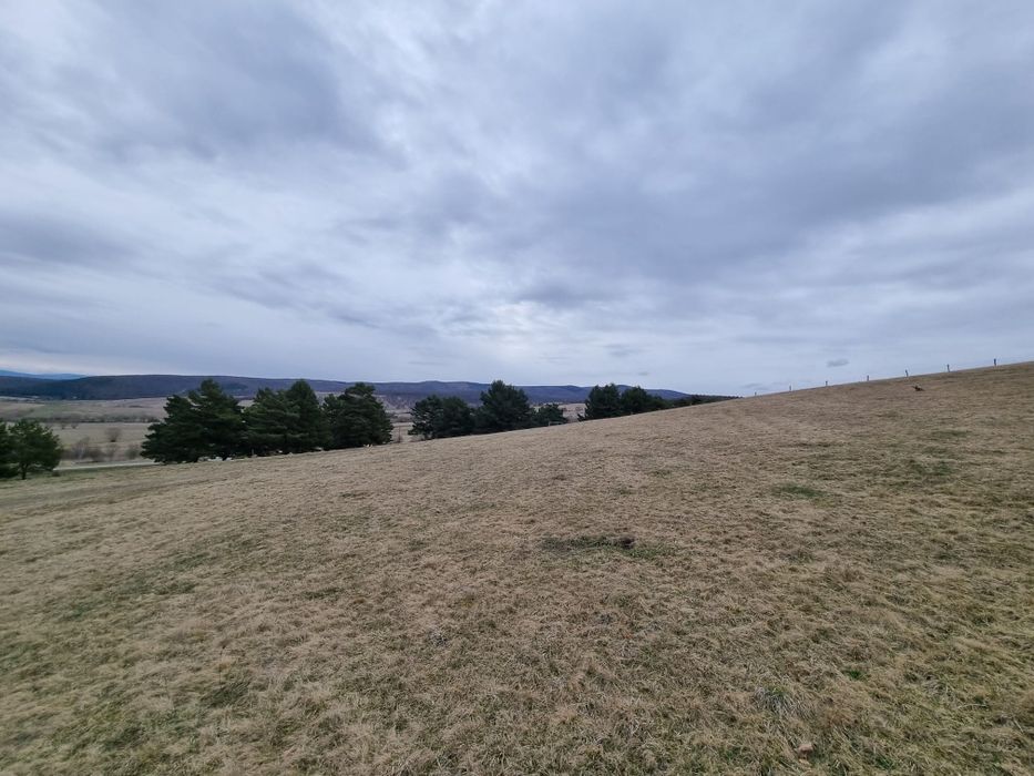 Teren 2000mp in Ozun, Covasna