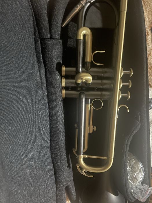 Trompeta Thomann Blacky