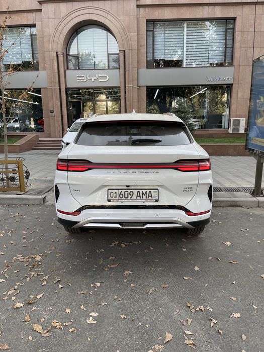 Byd Champion гибрид