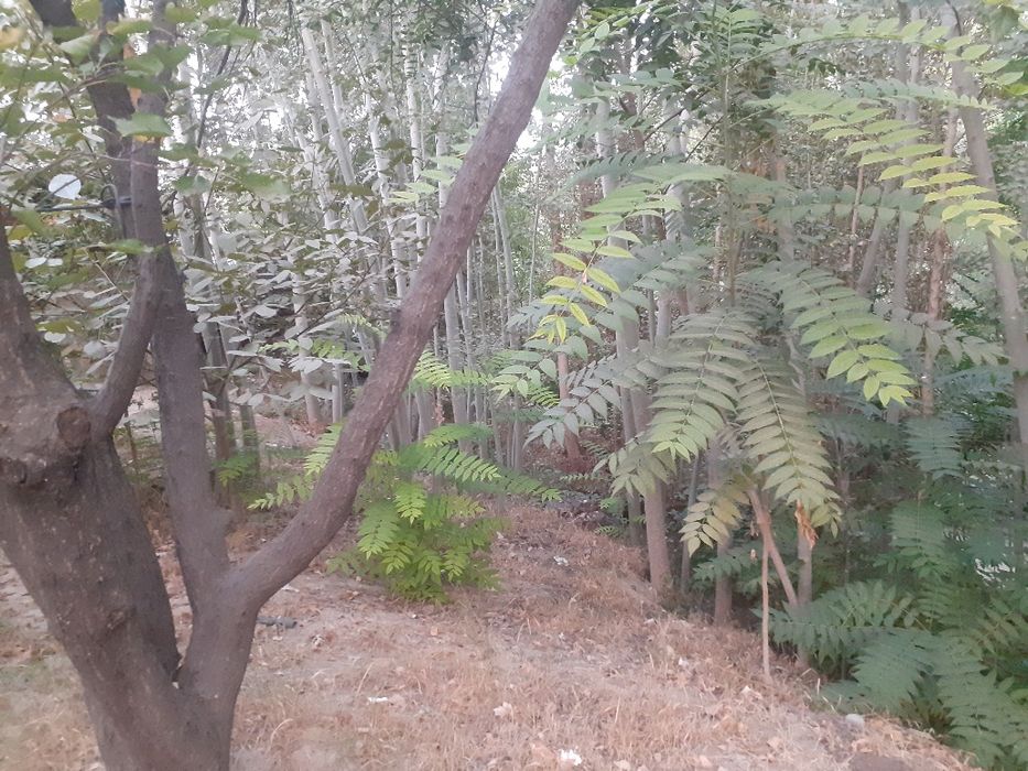 Avval qishlog‘idagi uy sotiladi