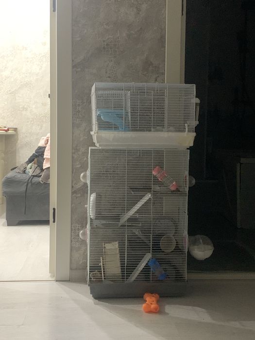 Продам 4 клетки для хомяков, вместе с 2 взрослыми хомяками и 8 маленьк