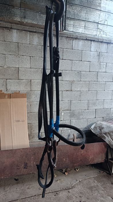 Кокпар жуген сапасы оте.жаксы