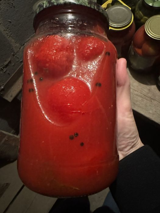 Солень , домашнее очень вкусные не острые