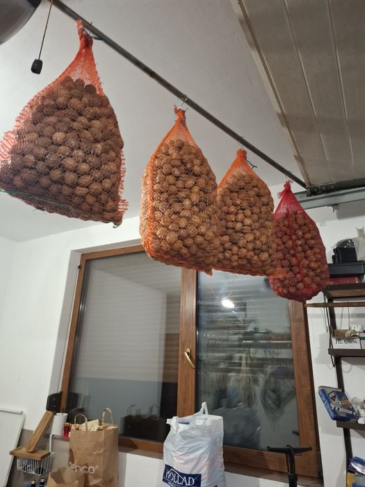 Vînd 4 saci de nuci în coajă de anul acesta
