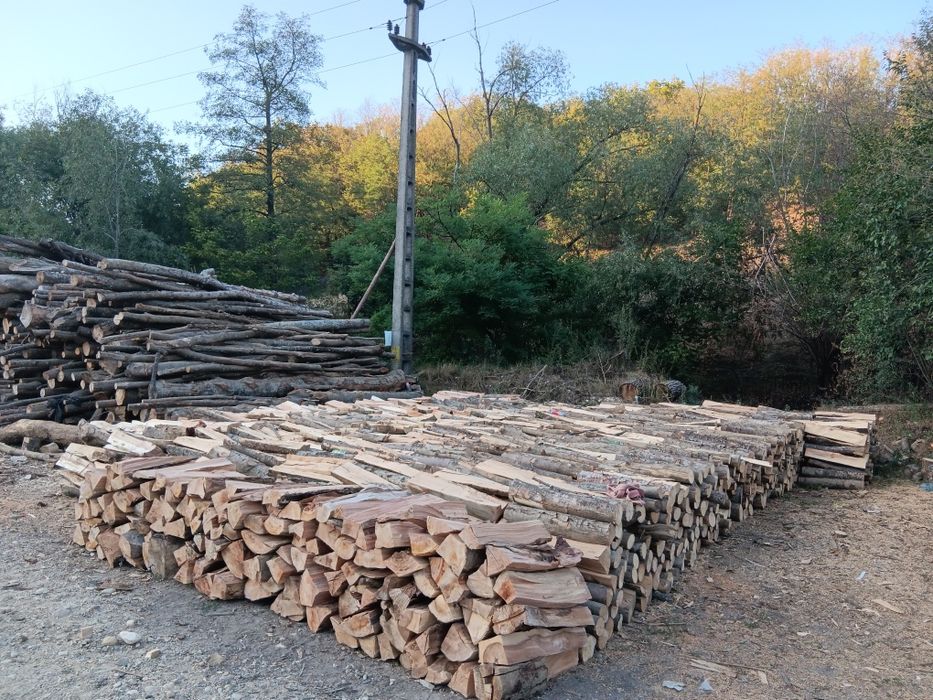 Lemn de foc esență tare fag, stejar și salcâm