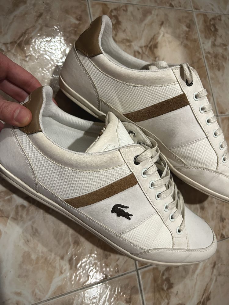 Мъжки обувки Lacoste