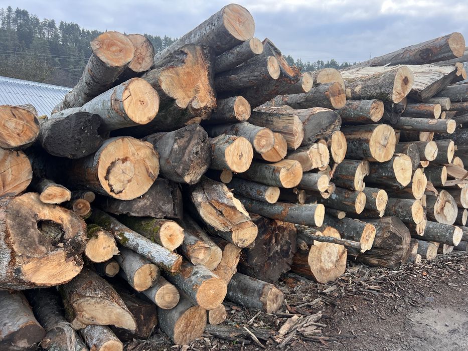 Lemn de foc fag/lemne de foc