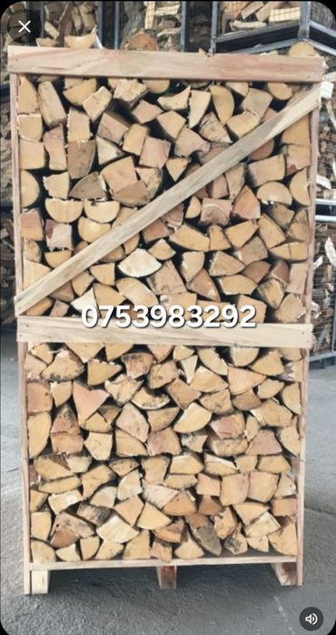 Lemne de foc  Fag Stejar Salcâm