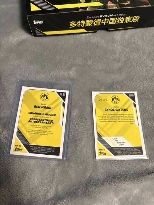 Topps Borussia Dortmund