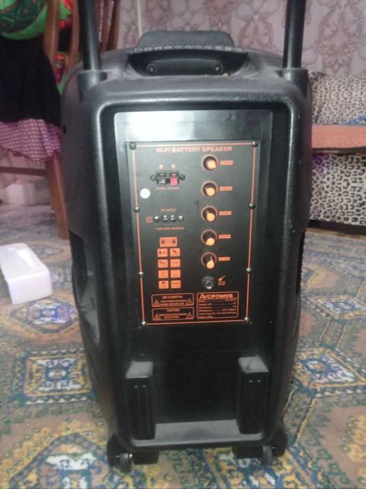 Колонка аккумуляторная 15 дюймовый