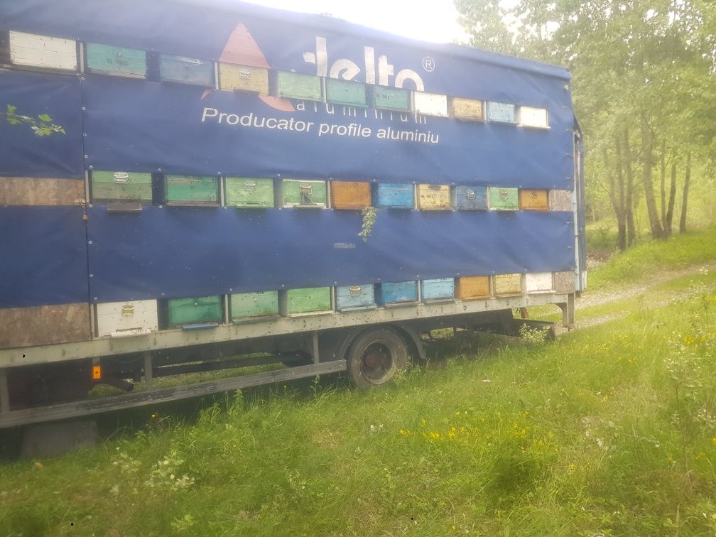 Stupină de vanzare