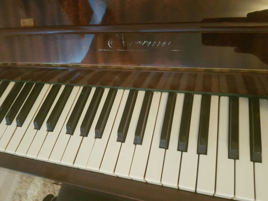 Pianina Nocturno