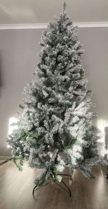 Заскрежена Елха