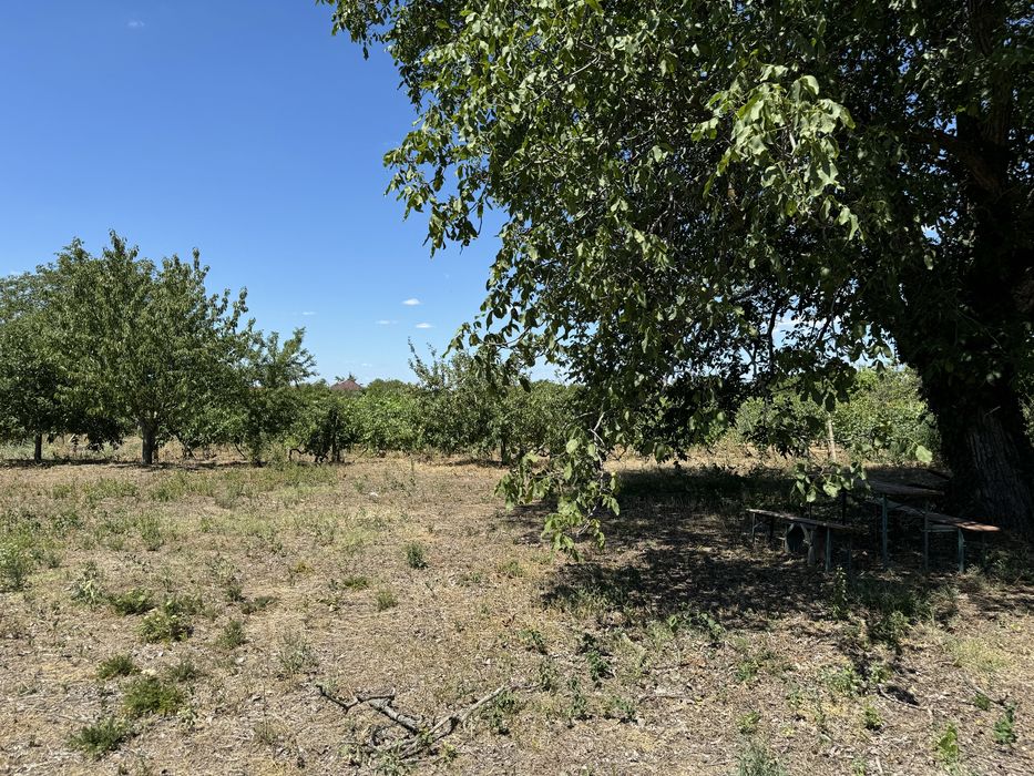 Vand teren valea calugareasca