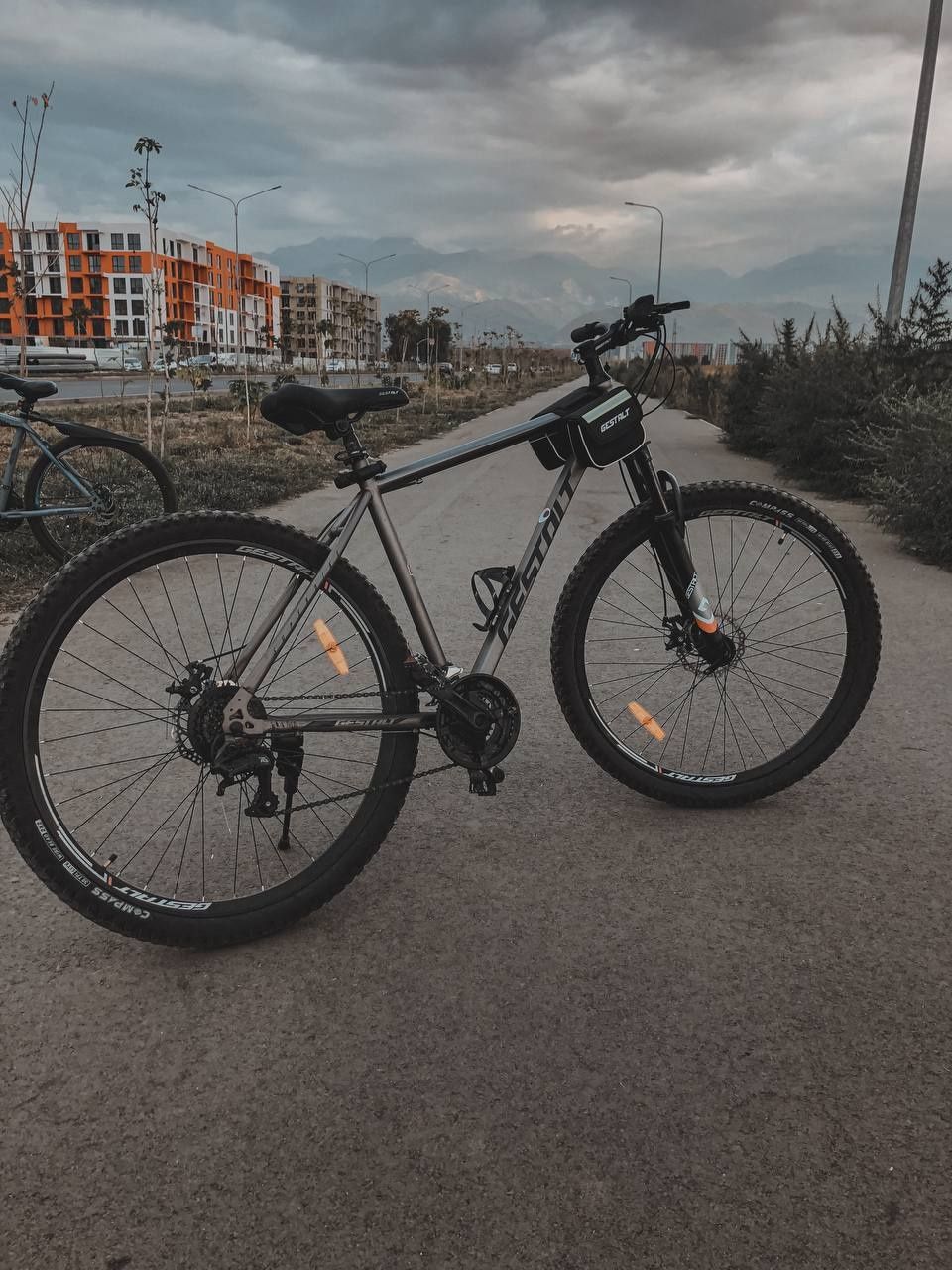 Велосипед Gestalt 9029