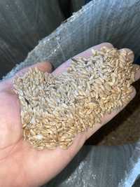Пшеница в мешках оптом и в розницу