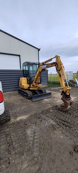 De vanzare Mini excavator.