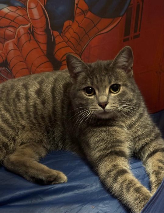 Красивая девочка.