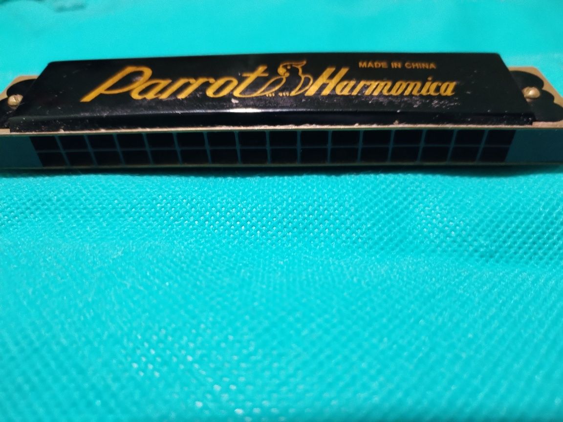 Harmonica Parrot