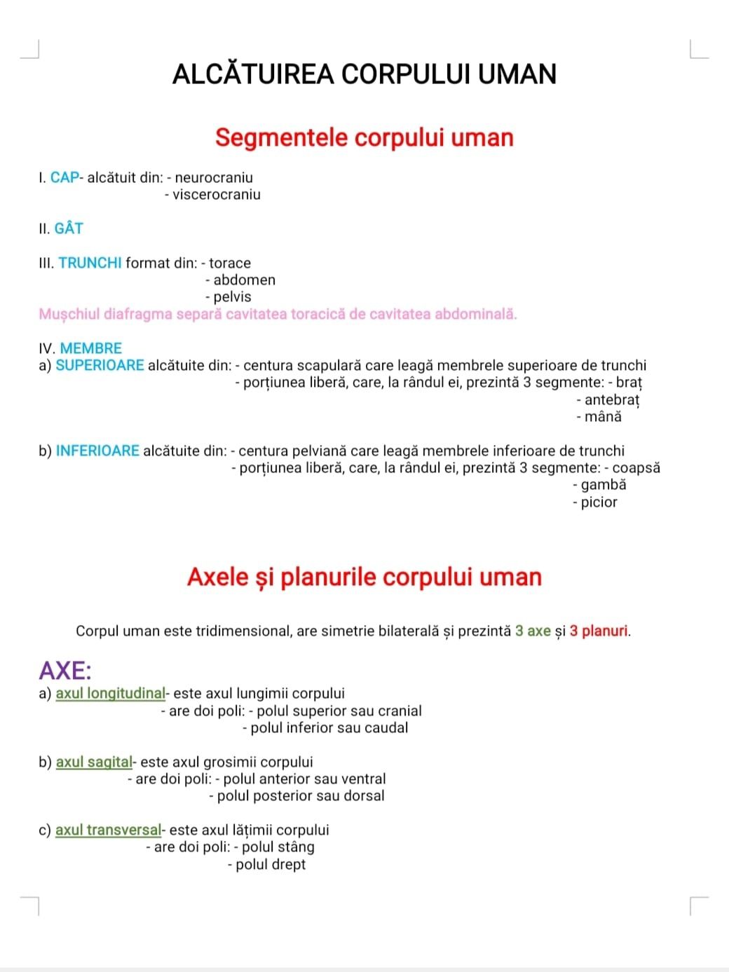 Dosar structurat pentru bacalaureat biologie (cls.XI-XII) - Anatomie