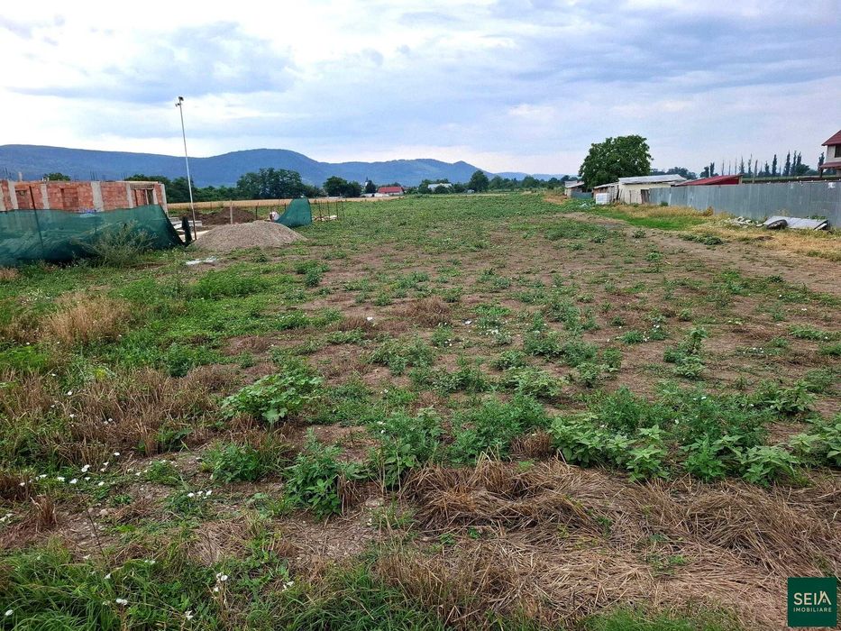 Teren de vanzare  Radomiresti