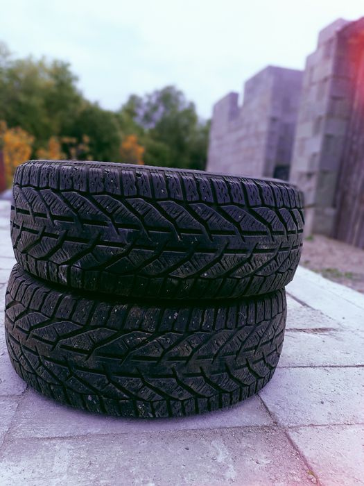 Шина зимняя Tigar