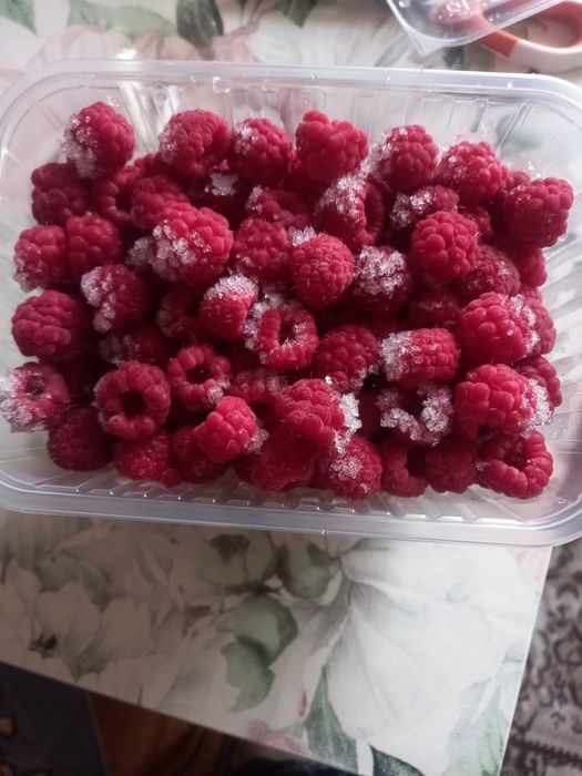 Продам Малину этого года