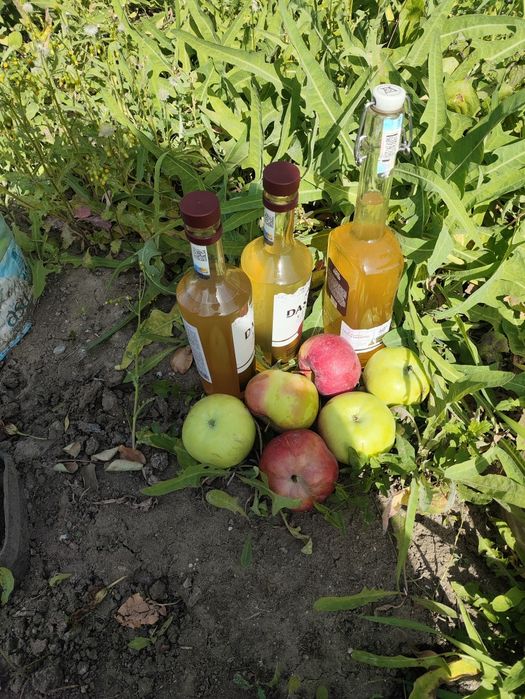 Продам домашний яблочный уксус
