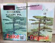 Ginseng Kianpi pil