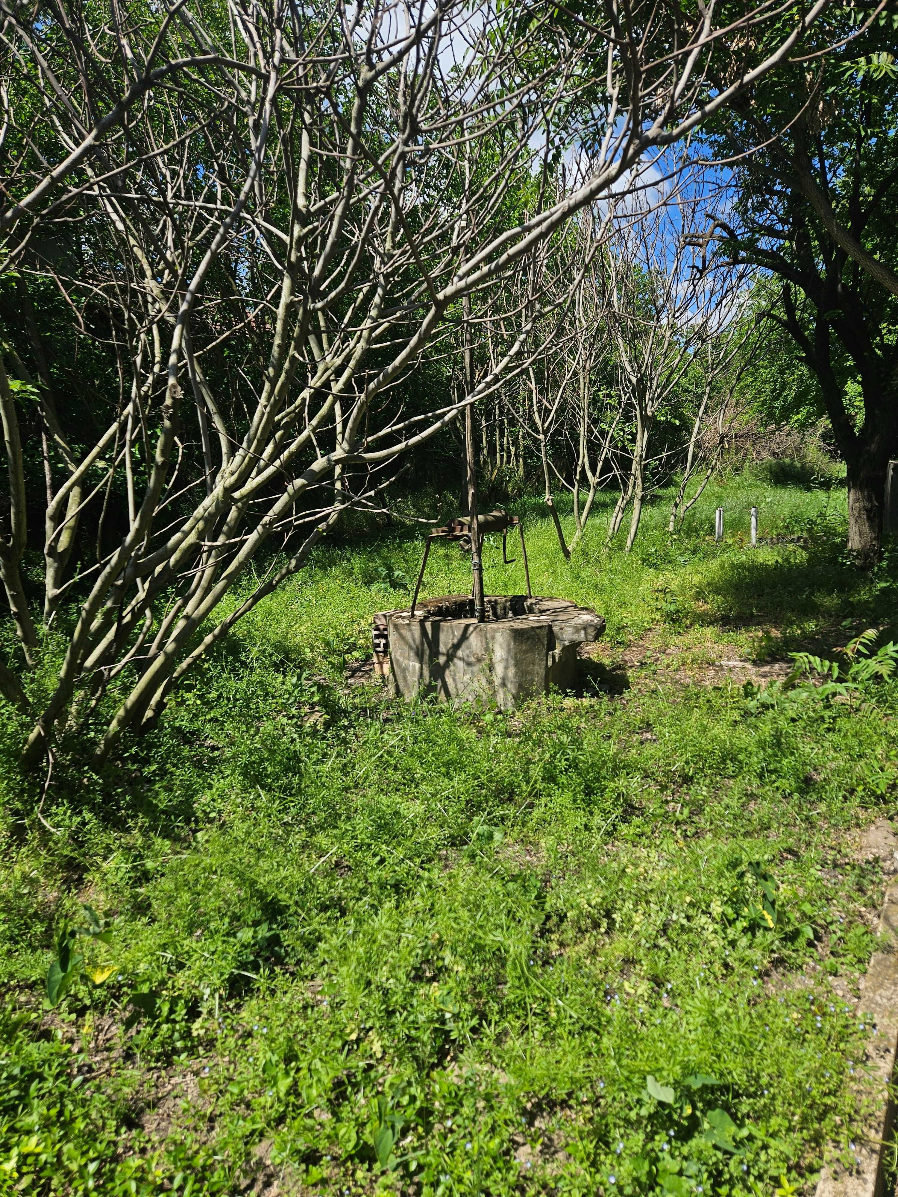 Здрава къща, с геран, в село Тотлебен, обл.Плевен