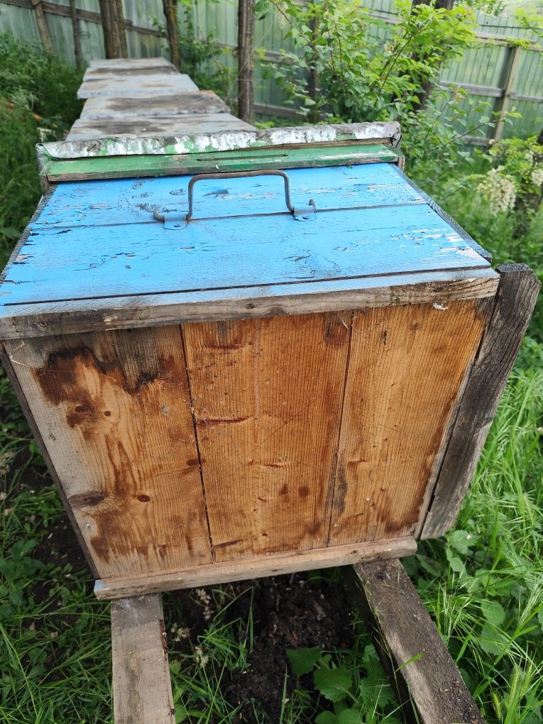 Stupi ( lăzi) fără familii de albine