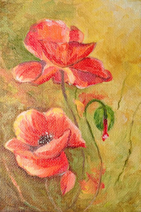 Картина Алые маки.