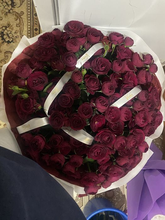 продаю цветы,спрей розы покупала за 30к