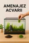Amenajez Acvarii – Transformă-ți casa într-o oază de relaxare