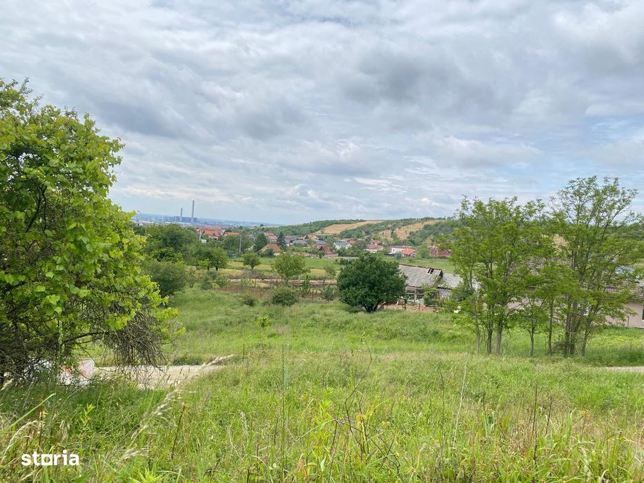 Teren vanzare Oncea, str Padurii Oradea