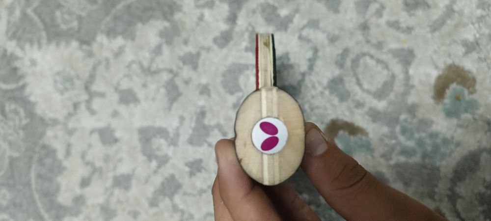 Ракетка зашитная