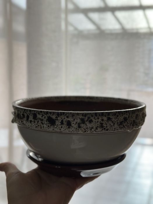 керамична саксия за растения