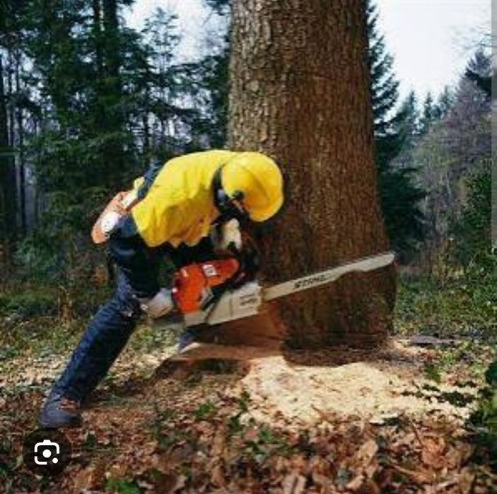 Пилим деревья любой сложности
