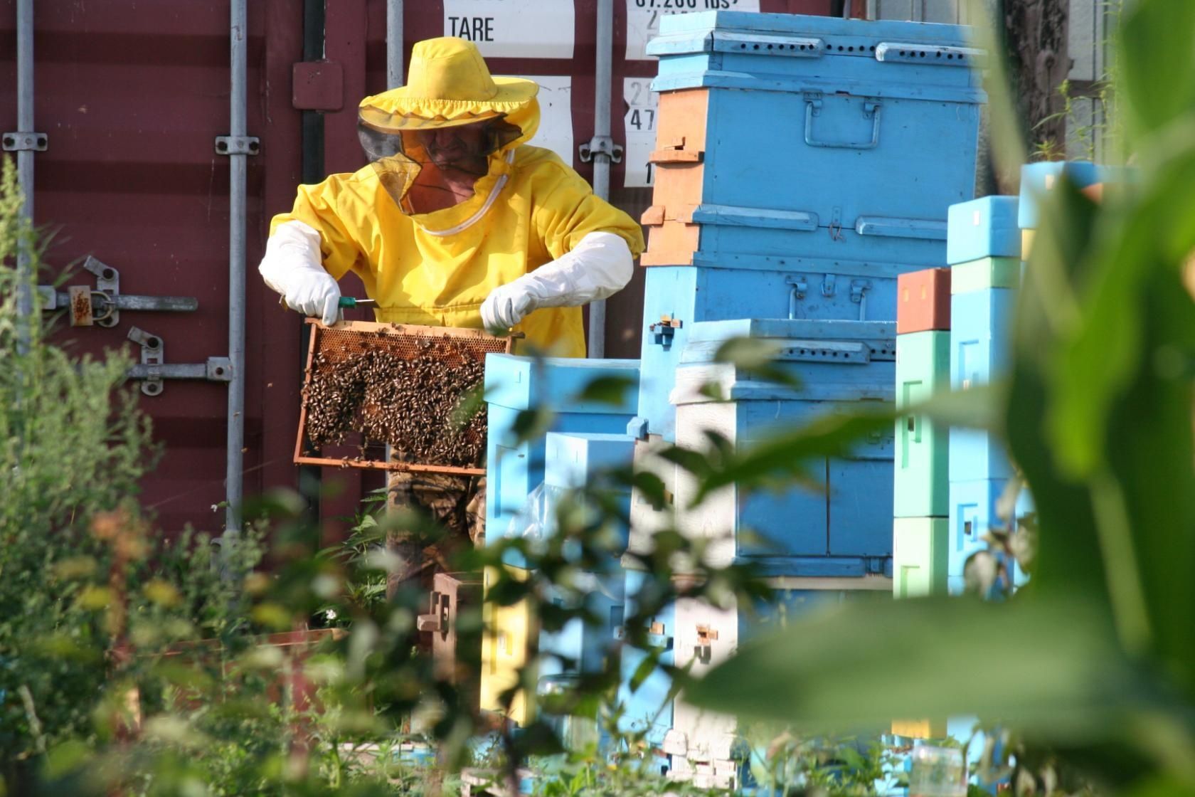 Продам  мед с пасеки разнотравиеие. .