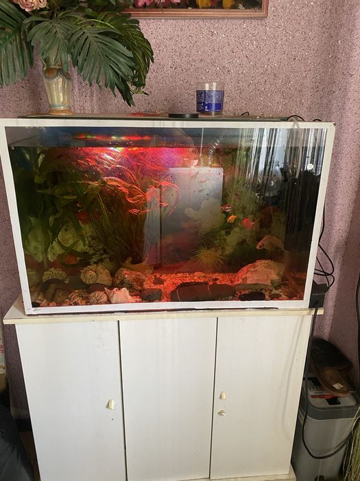 Аквариум с рыбками в полном комплекте