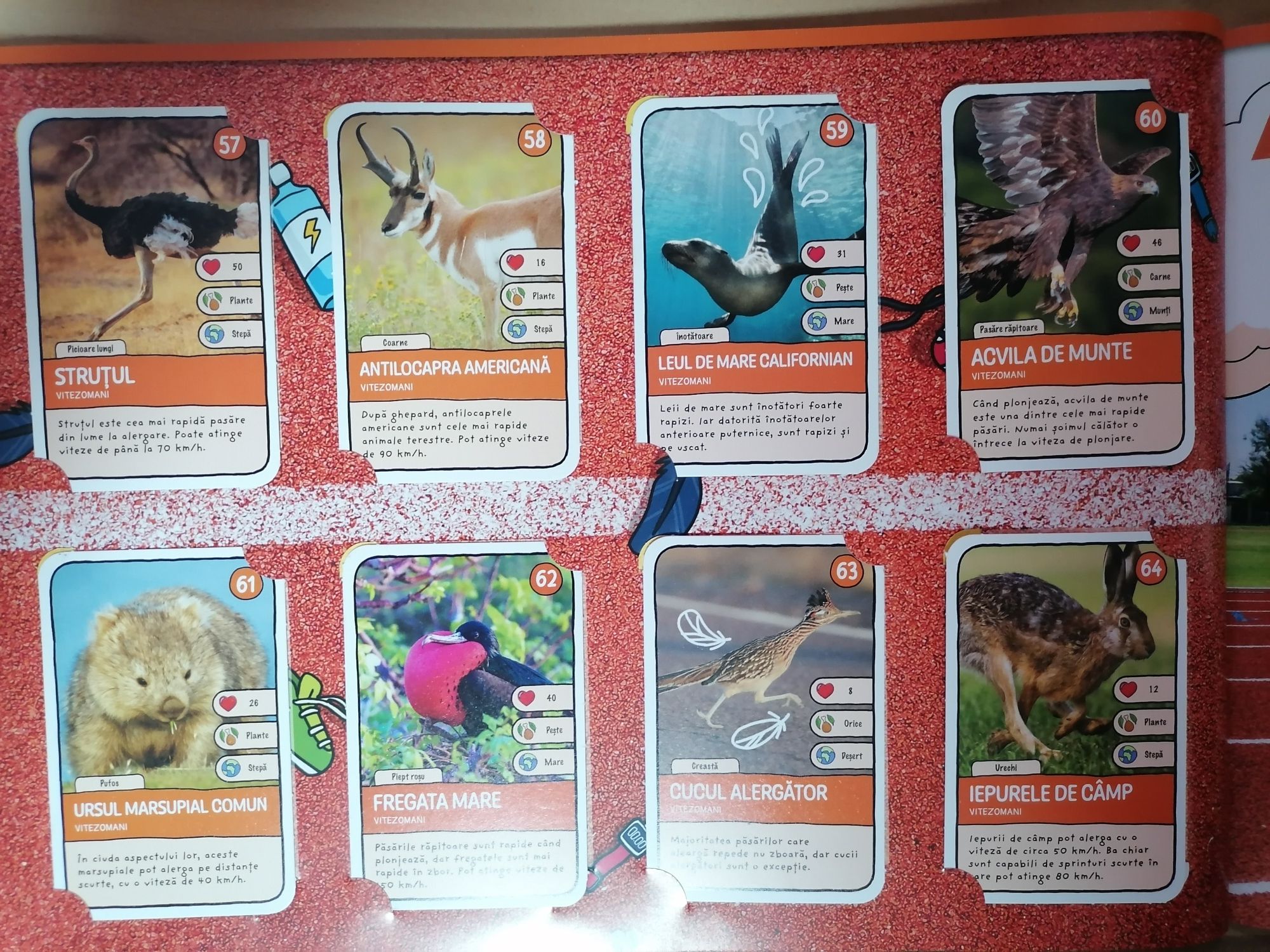 Album Expeditie 2 cu 96 cartonase + 96 cartonase Editia 1 + Boxa zoo