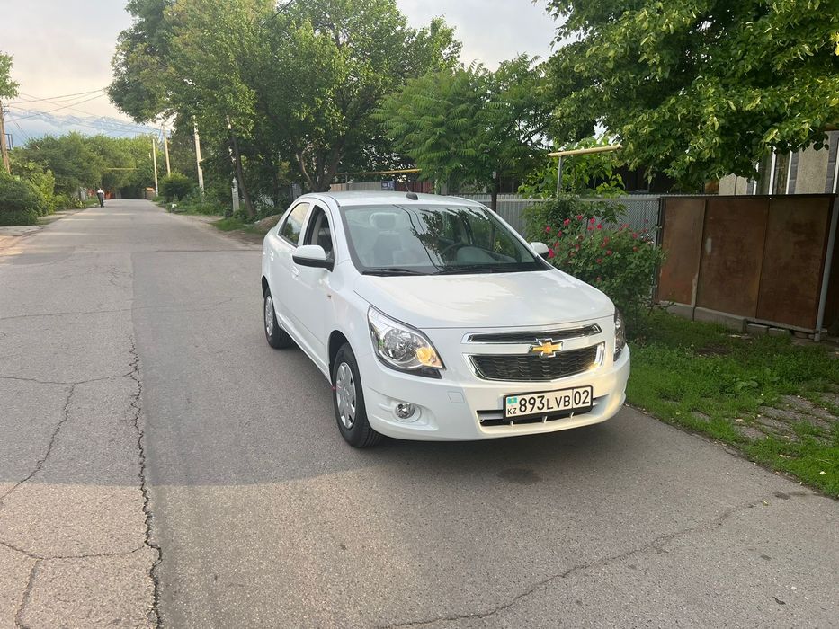 Сдам в аренду кобольт