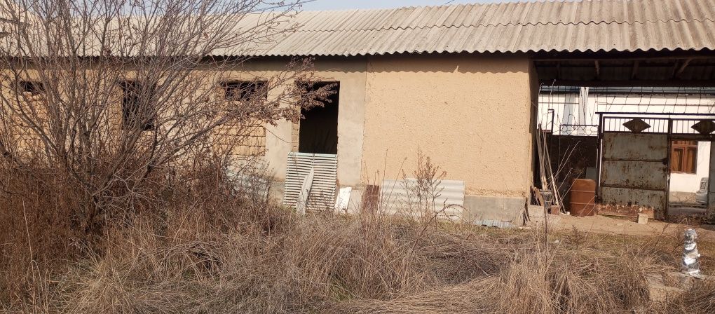 Бектимир туман олтин топган махалласида 8 сотихли Уй сотилади